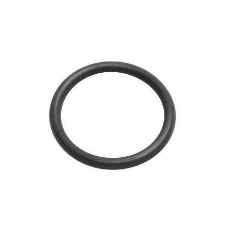O-ring for NexION Hyper Skimmer Cone (pack of 5) NexION 1000/2000